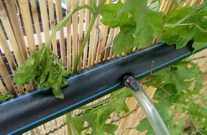 Ống HDPE chống rò rỉ