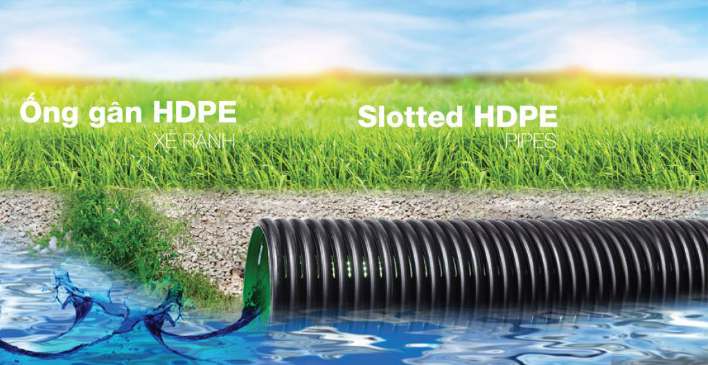 Ong gan xe ranh web vs 01 1